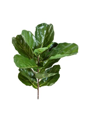 Veštačko drvo Fikus Lyrata