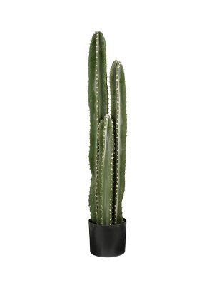 Veštački kaktus