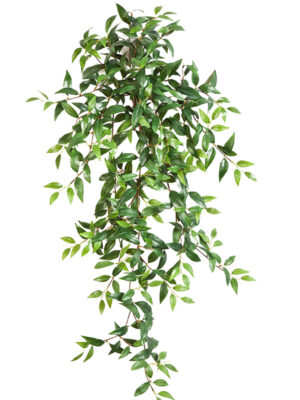 Veštačka tradeskancija viseći žbun