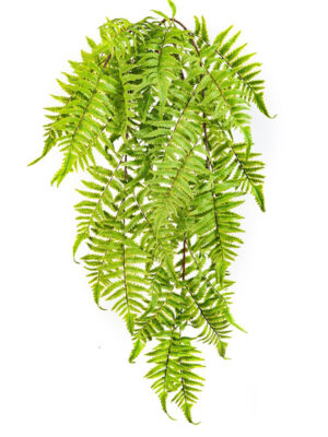 Veštački viseći žbun cimetne paprati