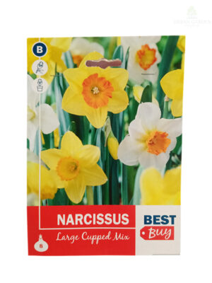 Narcis Lagercupped Mix
