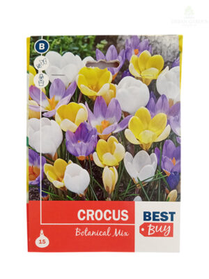 Crocus Botanical Mix