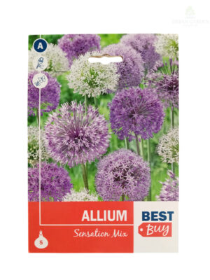 Allium Sensation Mix