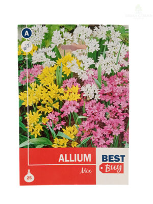 Allium Mix
