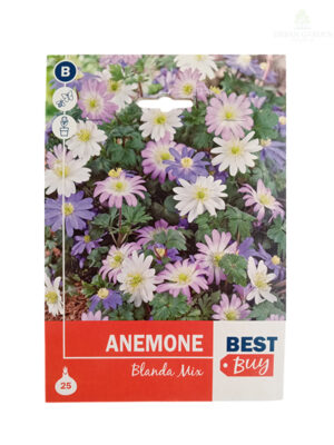 Anemone Blanda Mix