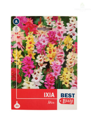 Ixia Mix