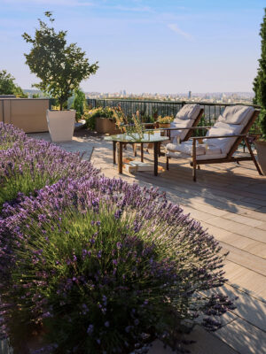 Višegodisnje cveće za terase