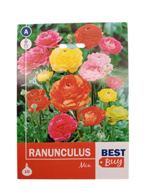 Ranunculus Mix