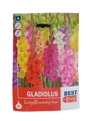 Gladiola Large mix