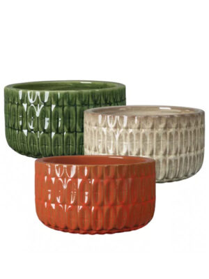 Naranjas saksija niska